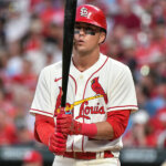 ヌートバー選手で注目!MLBで活躍する日本にルーツを持つ海外出身選手は?